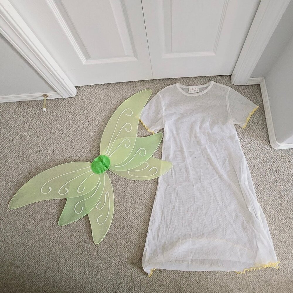 Halloween Costume Fairy Set with Wings Dress